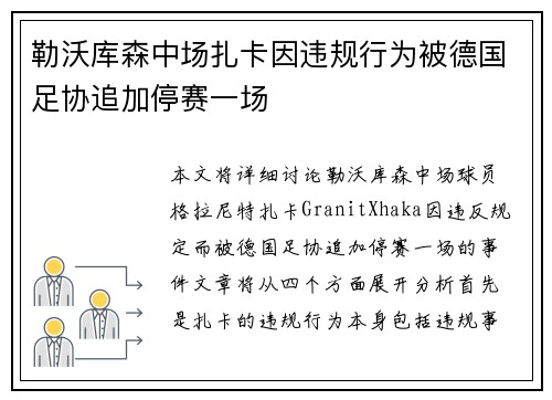 勒沃库森中场扎卡因违规行为被德国足协追加停赛一场
