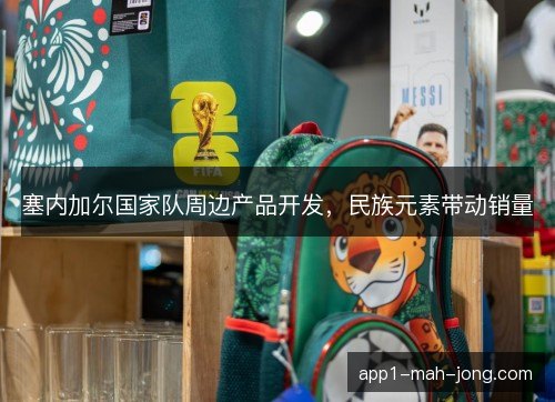 塞内加尔国家队周边产品开发，民族元素带动销量